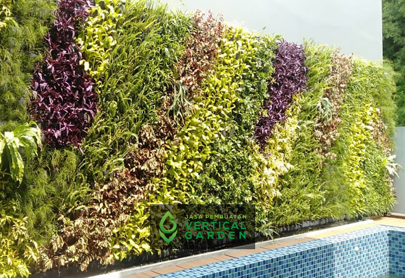Jasa Pembuatan Vertical Garden
